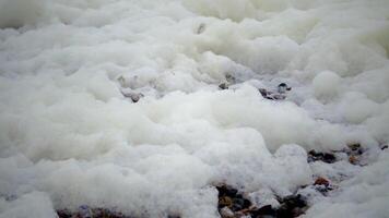 Dirty foam on the water and the seashore, eutrophication, pollution of the reservoir video