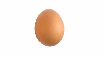 Single Brown Egg Isolated white background photo