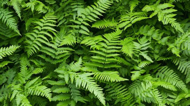 estrechamente lleno helechos con profundo verde tonos, mínimo ligero creando Rico contraste y textura en un natural bosque escena foto