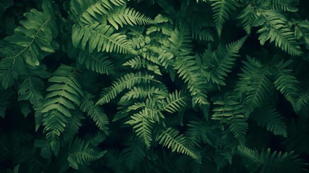 Overlapping fern leaves filling the entire frame, dark green tones with soft, diffused light, creating a mysterious forest atmosphere photo