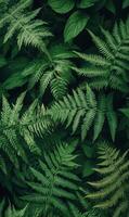 Dense arrangement of dark green ferns with intricate leaf patterns covering the entire frame, minimal light, rich shadows, natural forest setting photo