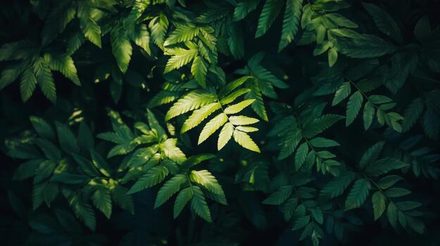 oscuro, temperamental de cerca de verde helechos con intrincado texturas, mínimo luz, oscuridad jugando a través de el hojas foto