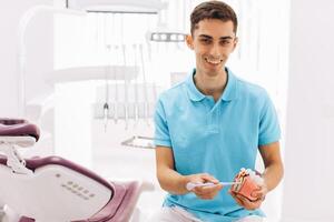 The dentist shows the root of the tooth on the model photo