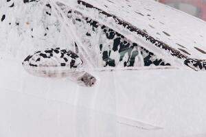 White Car Covered in Soap Suds During Automated Car Wash photo