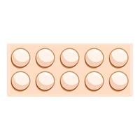 Ten white eggs in cardboard box container vector