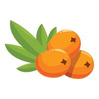Three ripe sea buckthorn berries with leaves displaying vibrant orange color vector