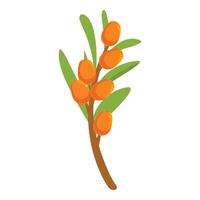 Branch of sea buckthorn showing ripe orange berries vector