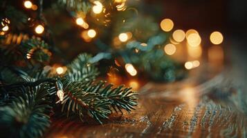 Close-up of Pine Branch with String Lights and Bokeh Lights photo