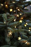 Close-up of a Pine Tree Branch with String Lights and Star Ornaments photo