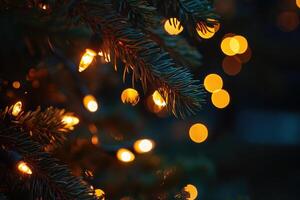Pine Branch Adorned with String Lights and Bokeh photo