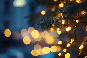 A Close-up of a Christmas Tree Branch with String Lights and Bokeh Background photo