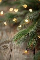 Pine Branch with Warm String Lights on Rustic Wooden Surface photo