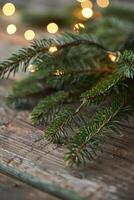 Close-up of a Pine Branch with String Lights on a Rustic Wooden Surface photo