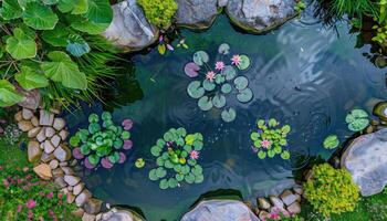 An aerial view of a small pond surrounded by greenery and stones photo