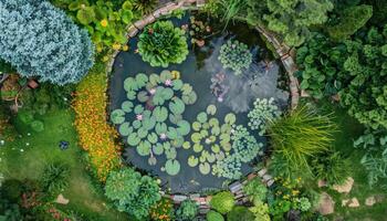 Aerial View of a Circular Pond Surrounded by Lush Greenery photo
