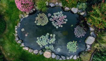 Aerial View of a Pond with Lily Pads and Surrounding Greenery photo