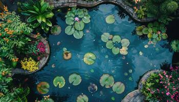 An aerial view of a pond with lush green lily pads and a vibrant flower display surrounding it. photo