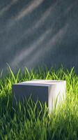 Dark background with shadow and black block stage podium story with grass photo