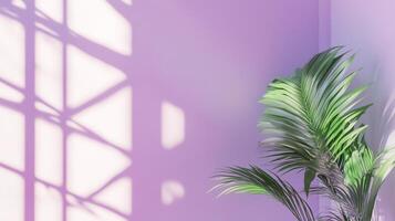 Modern minimalist east style window building with purple tone wall and greenery palm plant decoration photo
