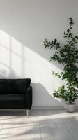 White wall with shadow sun bright, black sofa and plant for modern living room photo