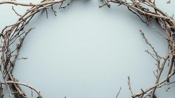 Dried twigs branch rounded frame copy space black cnter white background photo