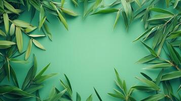 Bamboo green leaves frame empty center copy space solid background photo