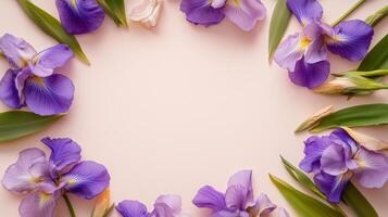 Iris flower and leaves rounded frame blank center space nature background photo