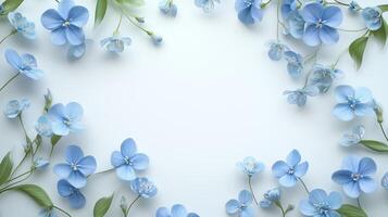 forget me nots flower and leaves rounded frame blank center space photo