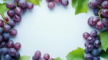 Purple grape healthy organic fruit real food rounded border frame copy space photo