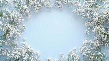 Baby breath flower frame rounded empty center nature background photo