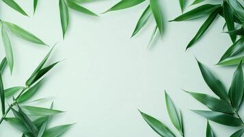 Bamboo green leaves frame empty center copy space solid background photo