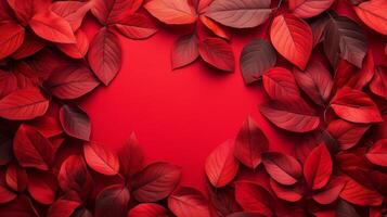 Red leaves border frame autumn decoration on red background photo