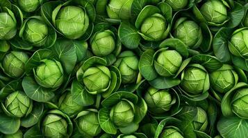 Cabbage vegetable pattern organic botanical farming seamless background photo