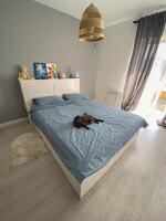 Scandinavian design bedroom with minimalist style and natural light with scottish fold yawning cat. Pet and simple cozy bed photo