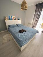 Scandinavian design bedroom with minimalist style and natural light with scottish fold cat. Pet and simple cozy bed photo