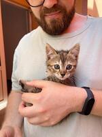 Millennial man in a straw hat and sunglasses holds lovingly at a small kitten in his hands. Tenderness moment captures the bond between human and pet. Themes of care and affection photo