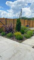 Lush garden corner with vibrant shrubbery beneath a bright, cloudy sky. Wooden fence adds a rustic touch, enhancing the natural beauty of the scene photo