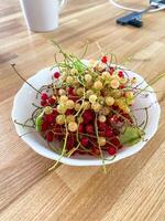 Delightful mix of red and white currants fills a white bowl, capturing the essence of summer freshness. Rustic wooden background enhances the natural, inviting presentation of the berries photo