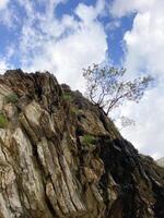 Rugged rock face rises sharply against a backdrop of blue sky dotted with white clouds, showcasing resilience of nature as a lone tree clings to cliffside. photo