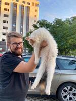 barbado hombre alegremente ascensores un mullido blanco gato en un urbano configuración, con un Alto edificio y frondoso arboles en antecedentes. juguetón momento capturas enlace Entre mascotas y su propietarios foto