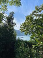 View through lush greenery reveals a tranquil lake with a distant boat under a bright blue sky. Beauty of nature, creating a peaceful and calming atmosphere photo