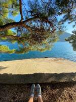 Peaceful moment captured from perspective of someone lounging under a lush, green tree overlooking a clear, blue sea. Nature and relaxation, inviting one to pause and enjoy the tranquility photo