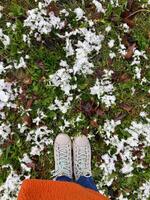 Pair of shoes stands on a snowy patch of grass, capturing the transition between autumn and winter. Crisp contrast of green leaves and white snowflakes creates a vibrant seasonal scene photo