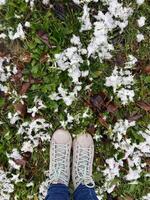 Pair of shoes stands on a snowy patch of grass, capturing the transition between autumn and winter. Crisp contrast of green leaves and white snowflakes creates a vibrant seasonal scene photo