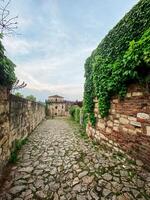 Stone pathway lined with ivy-covered walls leads to an old fortress under a soft, cloudy sky. the serene atmosphere captures a moment of timeless beauty and peaceful isolation in a historical setting. photo
