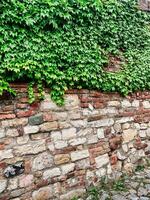 Stone pathway lined with ivy-covered walls leads to an old fortress under a soft, cloudy sky. the serene atmosphere captures a moment of timeless beauty and peaceful isolation in a historical setting. photo