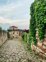 Stone pathway lined with ivy-covered walls leads to an old fortress under a soft, cloudy sky. the serene atmosphere captures a moment of timeless beauty and peaceful isolation in a historical setting. photo