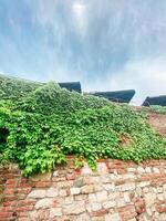 Stone pathway lined with ivy-covered walls leads to an old fortress under a soft, cloudy sky. the serene atmosphere captures a moment of timeless beauty and peaceful isolation in a historical setting. photo