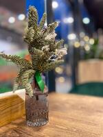 Stylish dried flower arrangement in a decorative vase sits on a wooden table. Blurred background with bokeh lights adds a cozy christmas and elegant ambiance to scene photo