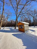 Wooden kiosk nestled in a winter wonderland, surrounded by snow-covered trees. the bright blue sky enhances the vibrant colors of the cozy structure, inviting exploration and warmth photo